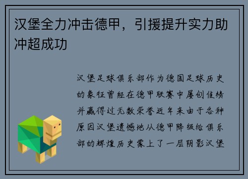 汉堡全力冲击德甲，引援提升实力助冲超成功